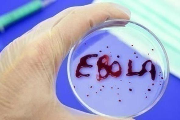 Ученые заявили, что нашли лекарство от Эболы: оно эффективно лишь на ранних стадиях болезни