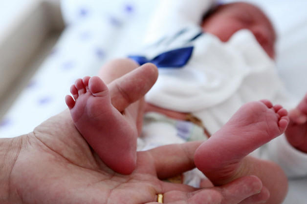 20 родов, 31 новая беременность – в семьях погибших на войне