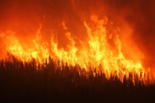 На территории Чернобыльской зоны отчуждения снова вспыхнул пожар