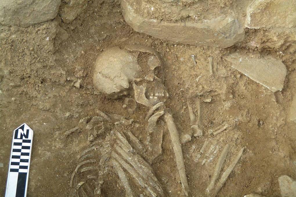 Скелет возрастом около 5 тыс. лет: в Румынии обнаружены захоронения бронзового века