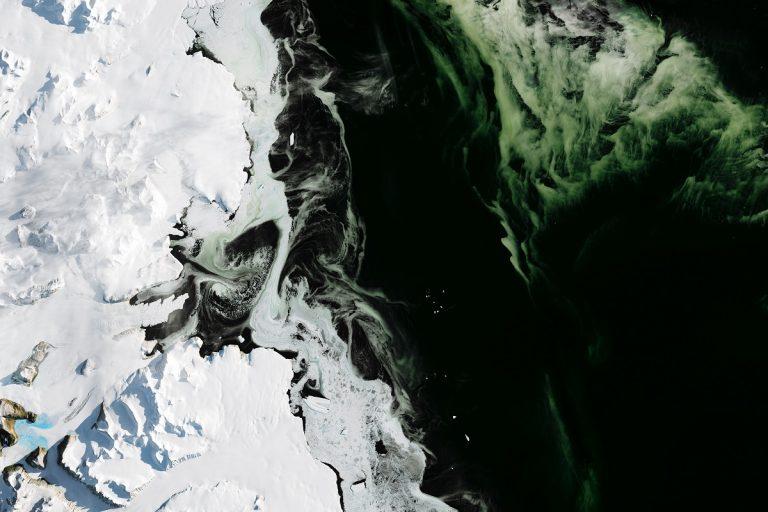 Как позеленела Антарктида: фото со спутника