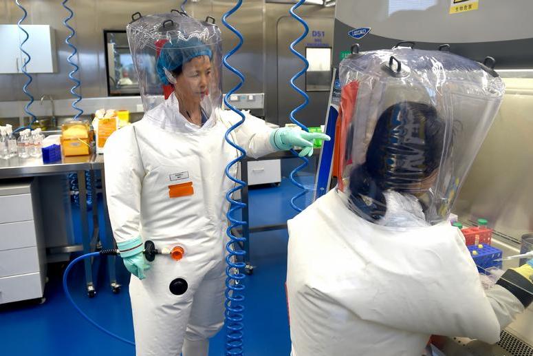 Китай разрешил въезд экспертам ВОЗ, занимающихся изучением происхождения коронавируса