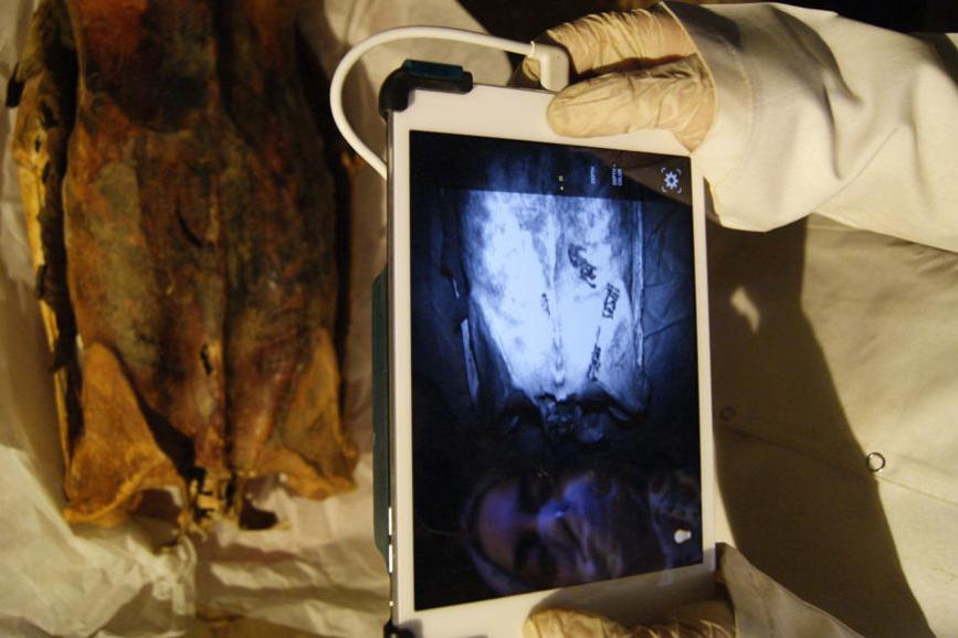Инфракрасное излучение помогло увидеть невидимые татуировки на древнеегипетских мумиях
