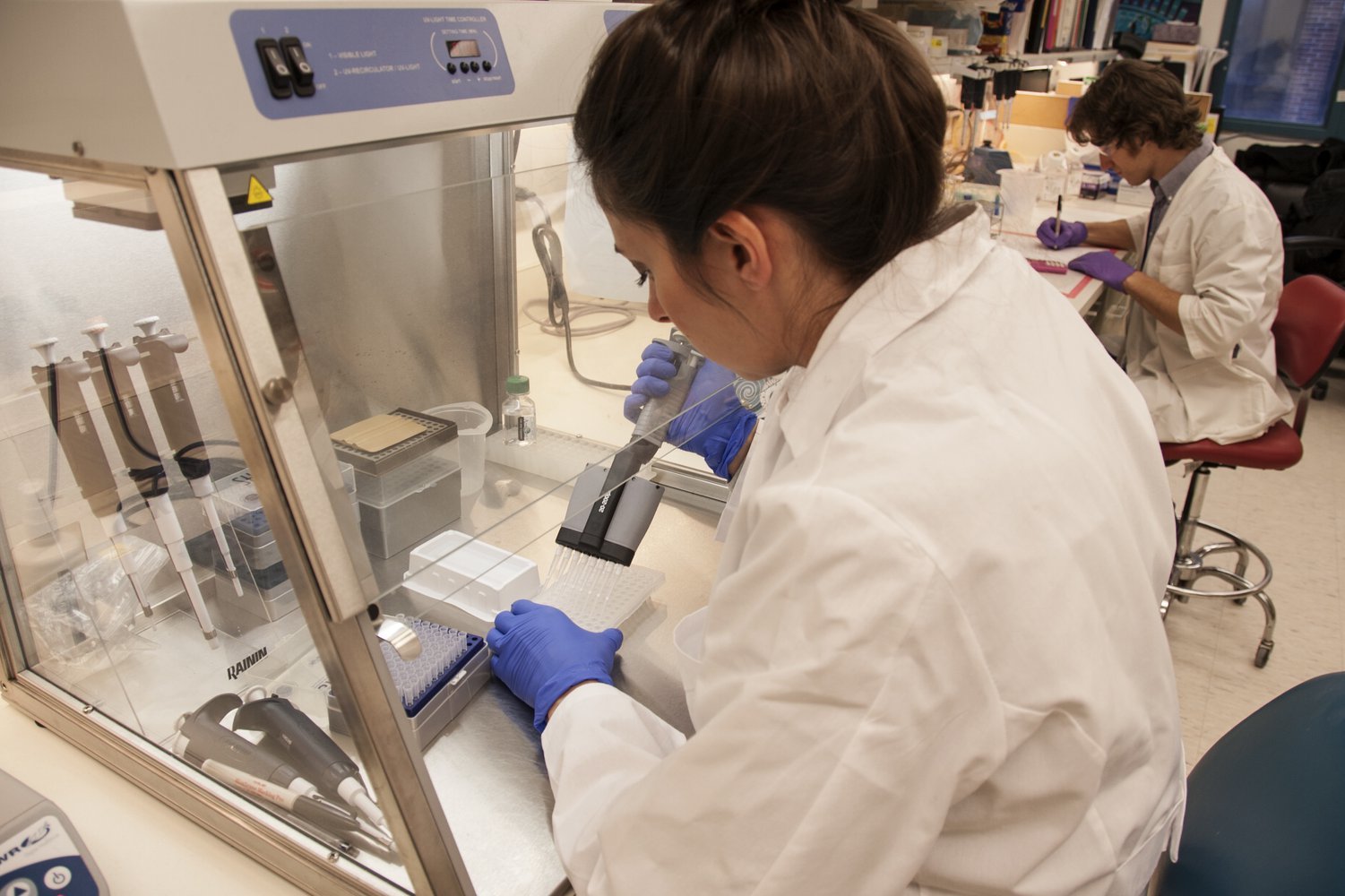 Исследователи выращивают миниатюрные органы в лаборатории, чтобы изучить, как новый коронавирус разрушает организм