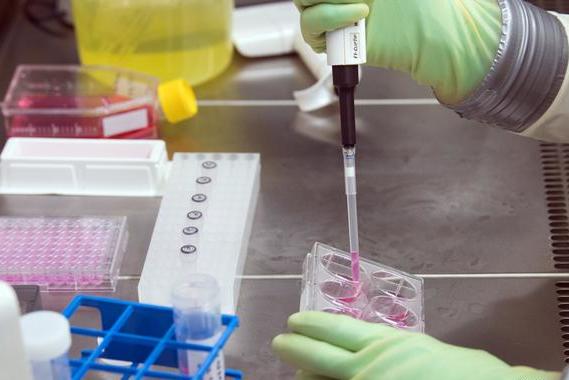 В Германии третий день подряд снижается число инфицированных и количество летальных исходов: Deutsche Welle