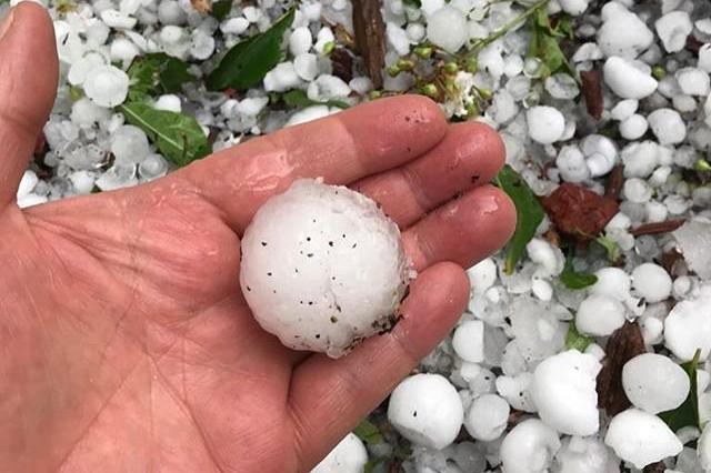 Из огня да в полымя: в Австралию на смену пожарам пришли ливни и град размером с шарик для гольфа