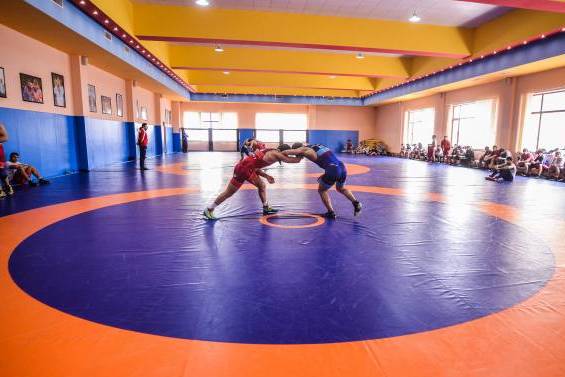 Борцы Армении начали подготовку к чемпионату Европы