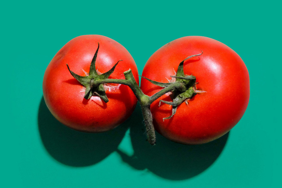 В Японии начали продавать томаты с отредактированным геномом, которые лечат гипертонию