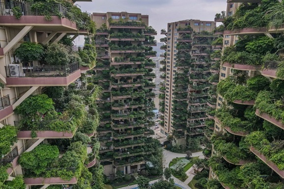 Проект уникального эко-жилья в Китае потерпел полный провал: он превратился в декорации постапокалиптического фильма