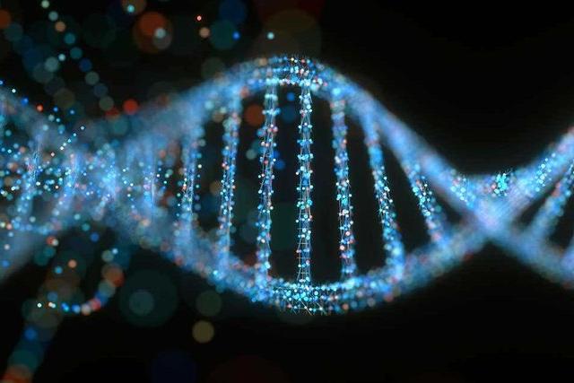 Пролить свет на то, как зародилась жизнь: oбнаружено более миллиона альтернатив ДНК