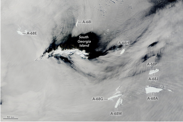 «Ледяной суп»: самый большой айсберг в мире раскололся на несколько частей