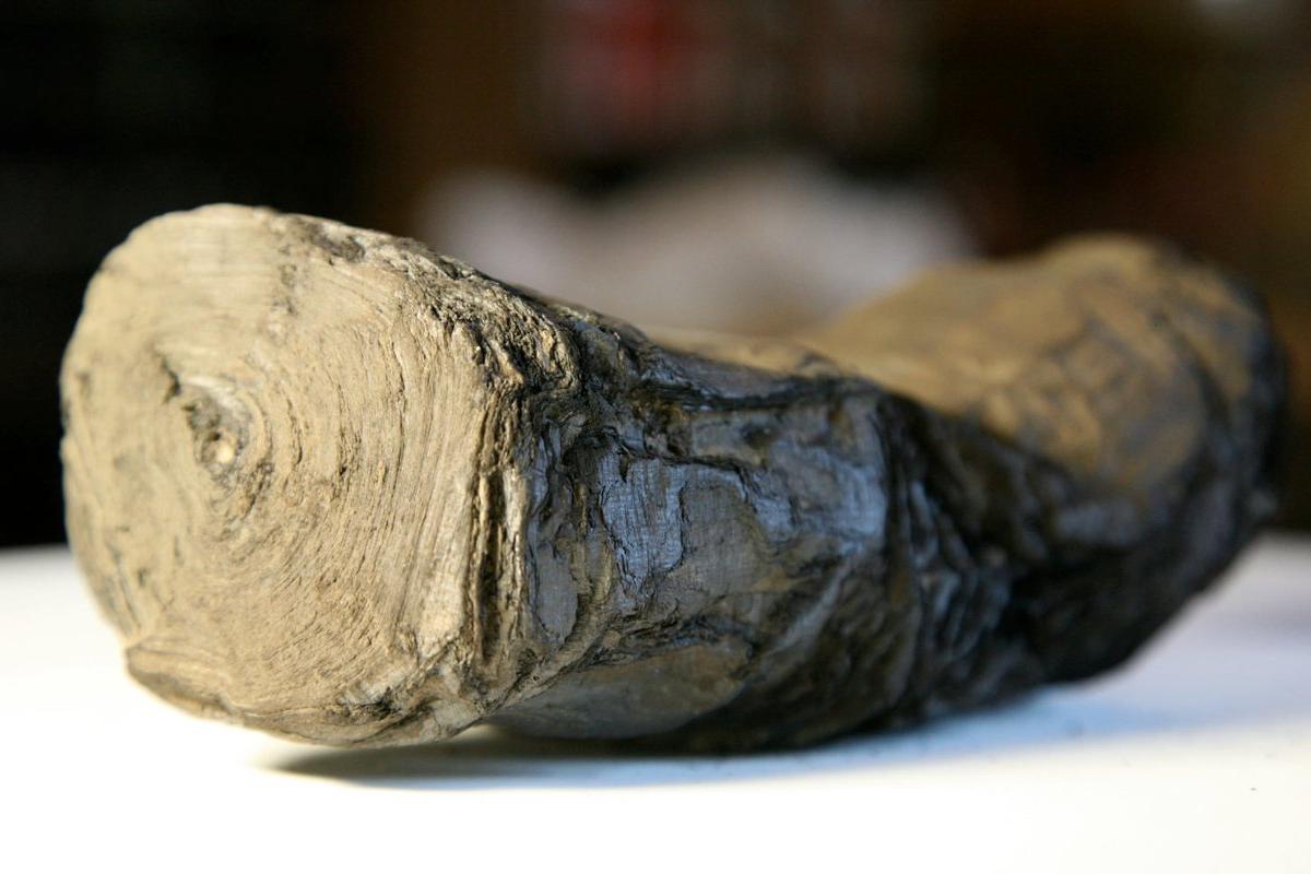 После извержения Везувия уцелели древние свитки: развернуть их невозможно, но ученые надеются расшифровать то, что в них написано