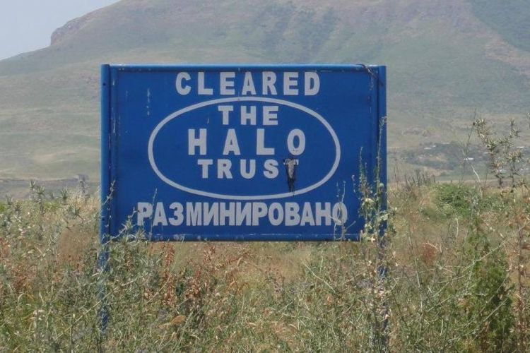 В отношении The Halo Trust заведено уголовное дело по подозрению в шпионаже