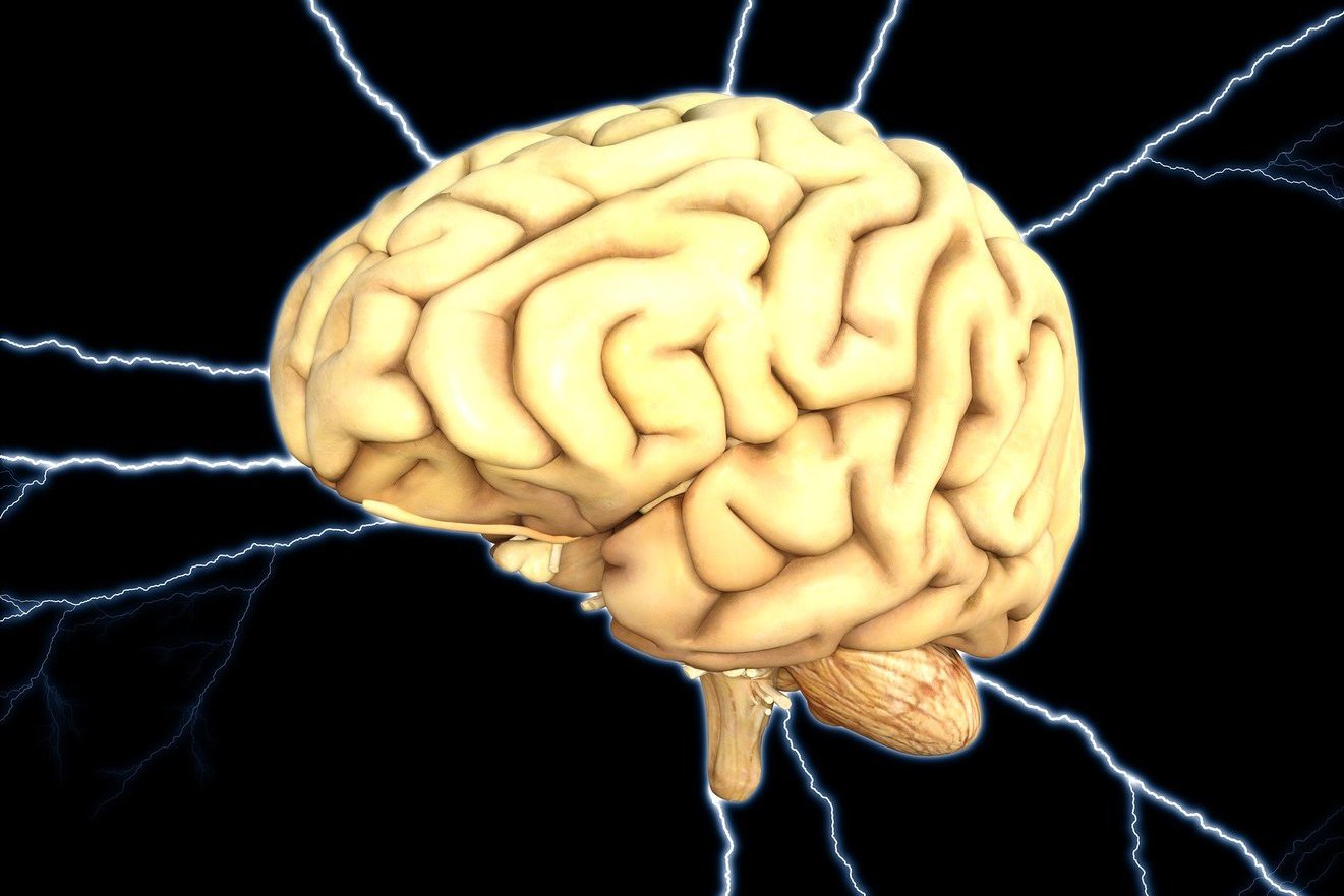 С точки зрения науки: почему нейроны головного мозга потребляют так много энергии даже когда мы отдыхаем