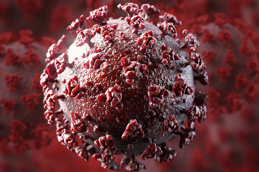 ВОЗ: Не существует доказательств значительных мутаций нового типа коронавируса