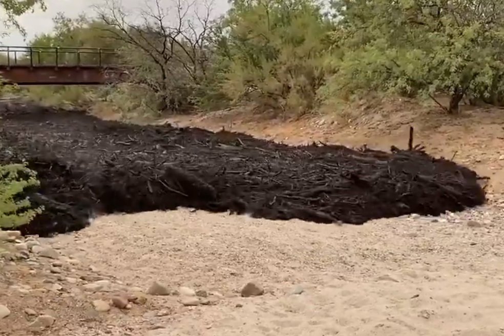 Лесные пожары создали ужасающие черные реки: необычное явление в Аризоне 