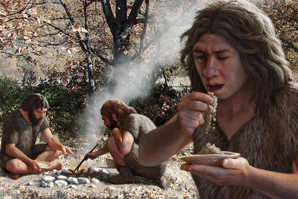 Кулинарные привычки древних людей: археологи узнали, чем питались наши предки из палеолита и удивились 