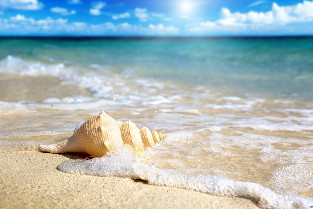 Сегодня Всемирный день моря