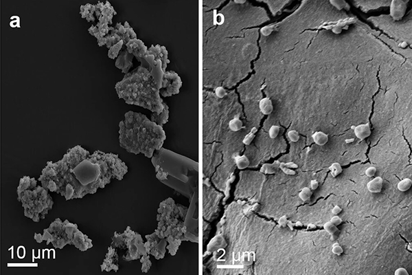 Крохотные выживальщики: ученые нашли микроорганизмы, способные существовать на метеоритах