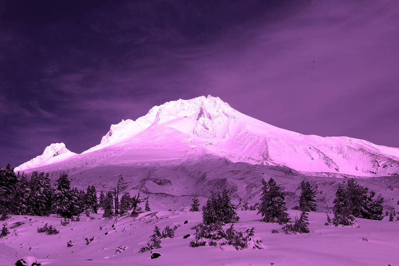 Учёные исследуют необычное явление: снег в итальянских Альпах стал розовым