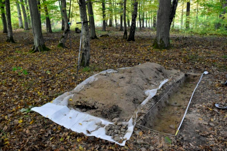 В Польше нашли древний город: не просто несколько зданий, а целый комплекс с полями, фермами и дорогами