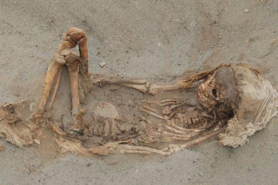 Мрачная находка археологов в Перу: огромное захоронение детей, убитых в качестве массового жертвоприношения в середине XV века