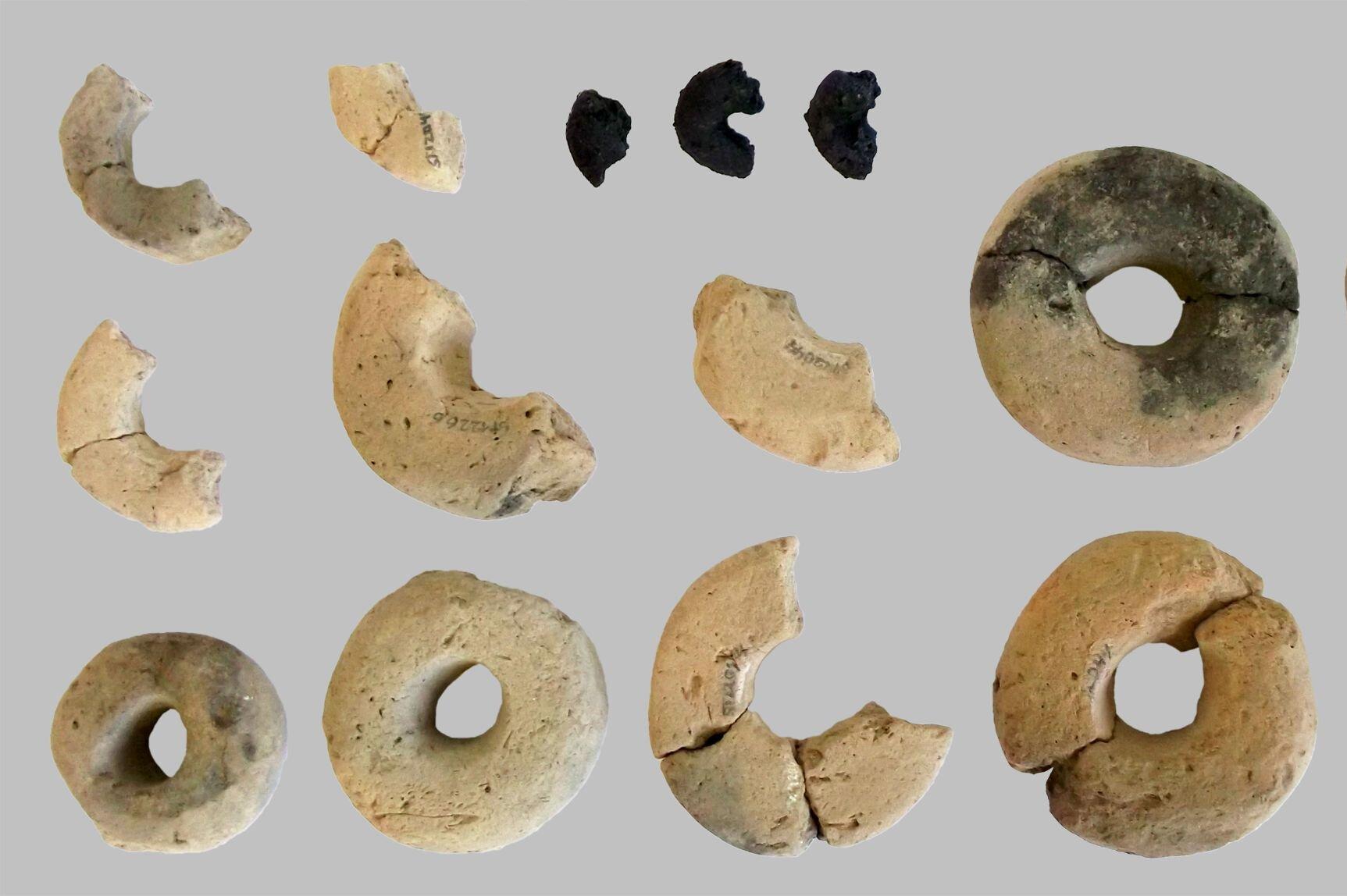 При раскопках древнего городища обнаружены кольцеобразные артефакты из неожиданного материала
