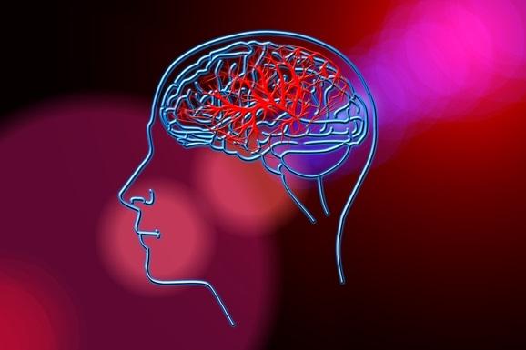 Ученые выяснили, из-за чего у людей может возникать внезапная амнезия и ухудшаться память в целом