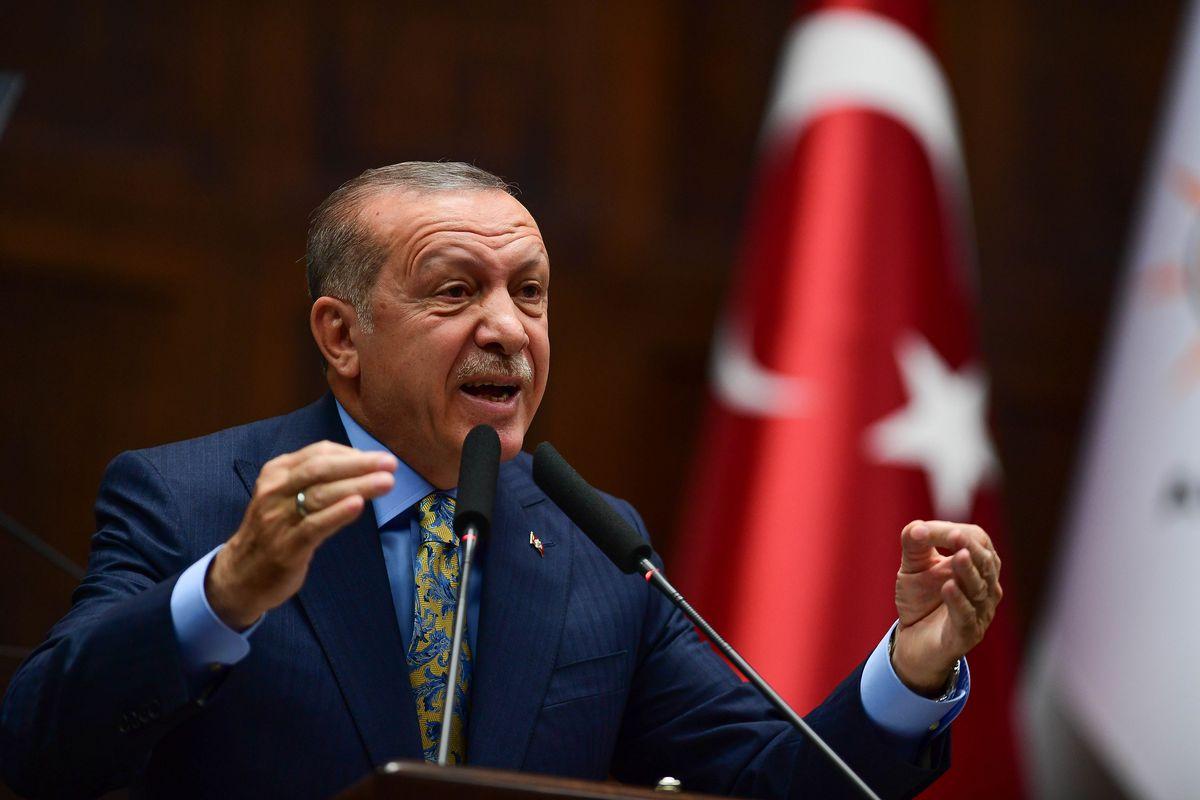 МИД Египета обвинил Эрдогана в поддержке «Братьев мусульман»