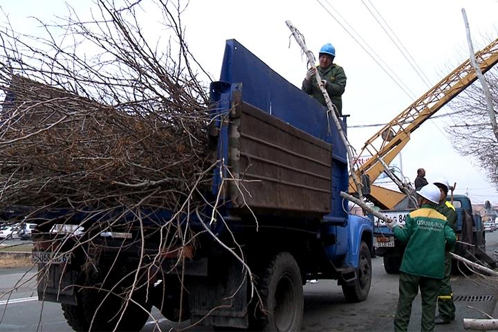 Երևանում էտված ճյուղերը տեղում կմանրացվեն․ քաղաքապետարանը հայտնում է նոր մոտեցման մասին