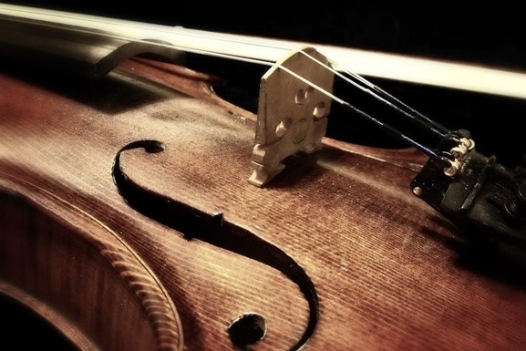 Москвич обнаружил в квартире своей покойной тети в Тульской области скрипку Страдивари XVII века