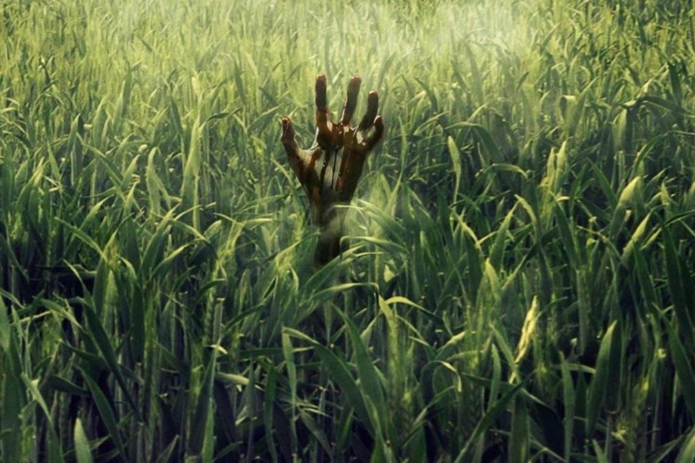 Netflix представил трейлер фильма ужасов «В высокой траве» по Стивену Кингу