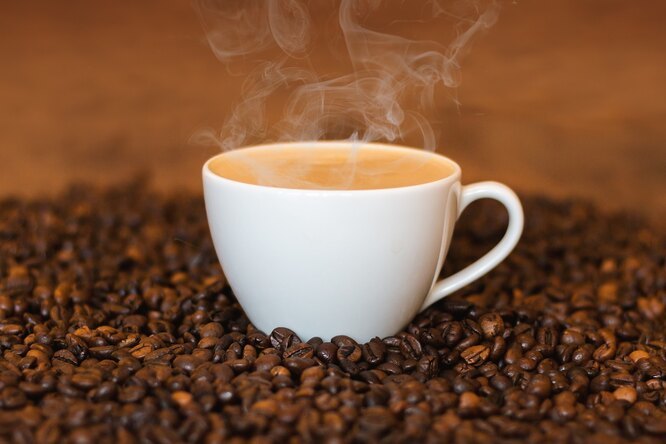 С точки зрения науки: как кофе управляет нашим организмом