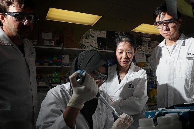 Учёные из Сингапура аннулировали все ранее созданные прогнозы по развитию коронавируса