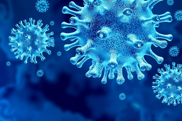 Ученые нашли ахилесову пяту коронавируса? 