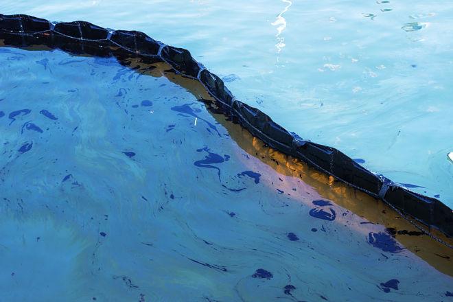 Одна из крупнейших экологических катастроф в истории: как восстанавливаются берега Мексиканского залива спустя девять лет после разлива нефти