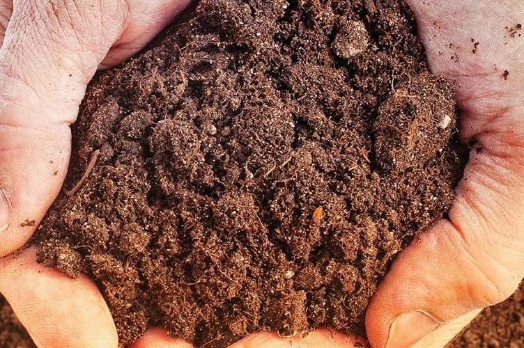 Газообразная почва. Биологическая поглотительная способность почвы. Впитывание почвы. Почвенные коллоиды. Впитывающая способность почвы.