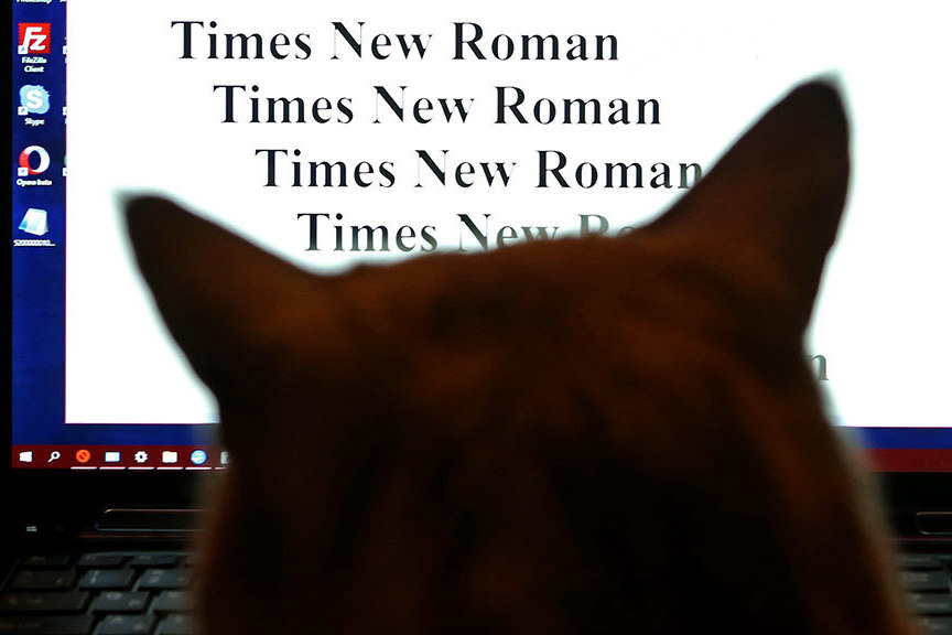 Шрифты Times New Roman и Arial заблокировали для клиентов из России