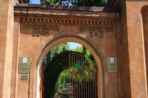В Ботаническом саду в Ереване вспыхнул пожар
