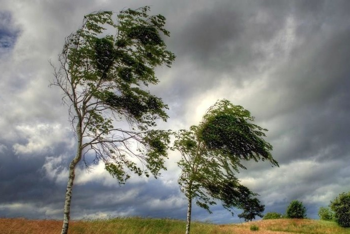 В Армении ожидается усиление ветра: могут быть сломаны деревья и повреждены крыши