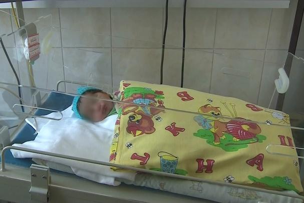В Питере пес спас новорожденную малышку