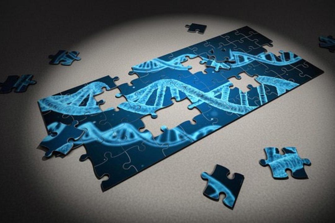 Ученые выявили «неустойчивую причинно-следственную связь» генетики и большинства тяжелых заболеваний