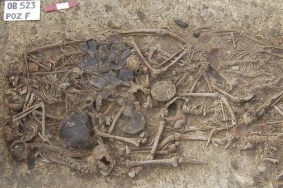 Анализ останков из древнего массового захоронения на территории Польши позволил восстановить трагические события, произошедшие около 5000 лет назад