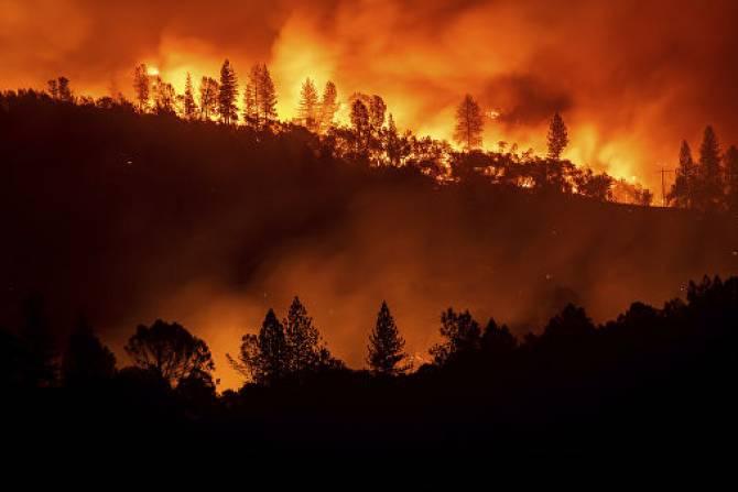 Самый сильный за 20 лет пожар уничтожил более 4 тысяч гектаров леса в Испании