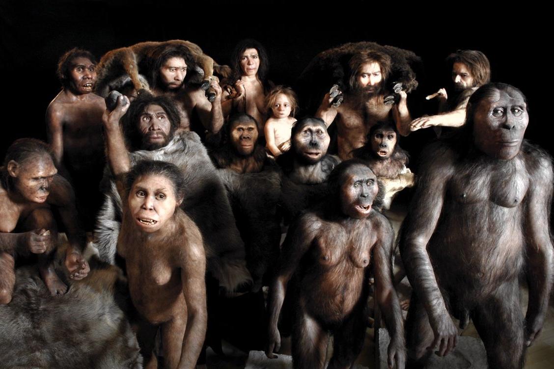Антропологи посредством анализа ДНК определили районы, в которых наши древние предки скрещивались с неизвестными видами людей