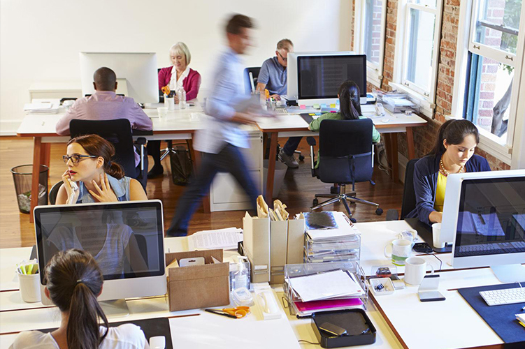 В каких странах люди меньше всего работают: World Population Review