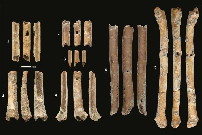В Израиле ученые нашли созданные около 12 тысяч лет назад флейты из костей птиц