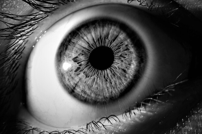 Воспаление органов зрения, зуд и светобоязнь: заражение коронавирусом научились определять по глазам