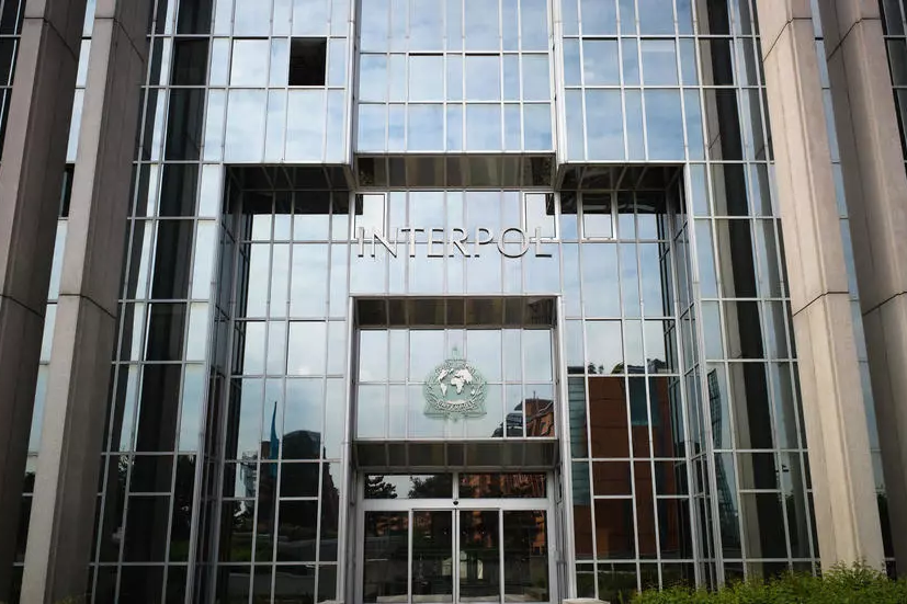 Коронавирус в интернете: Интерпол предупреждает о кибератаках