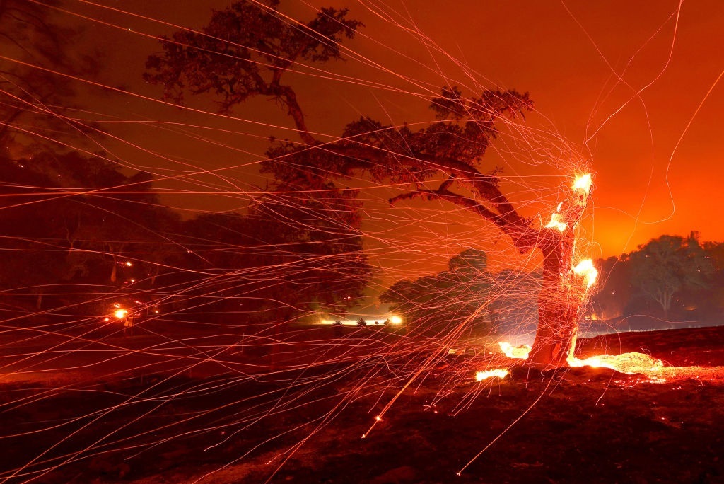 Выгорели десятки тысяч акров, уничтожены дома, тысячи жителей эвакуировались: в Калифорнии ввели режим ЧС